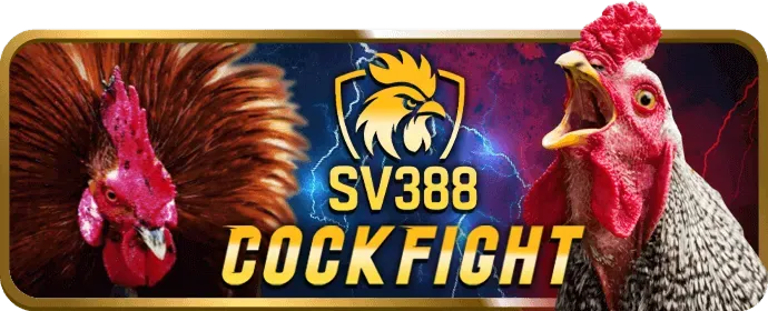 Chương trình VIP 23win1 nhà cái